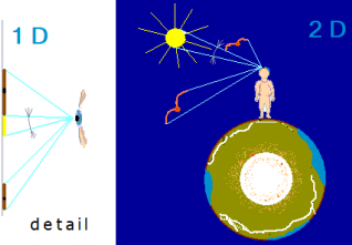 1D vidění ve 2D světě