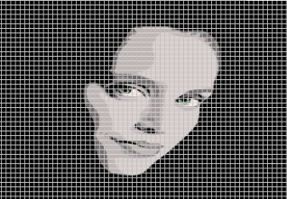 uspořádání světa