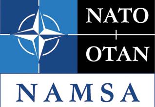 namsa