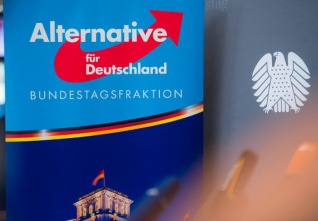 afd bundestag