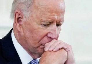 biden fox news