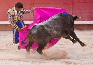 corrida.jpeg