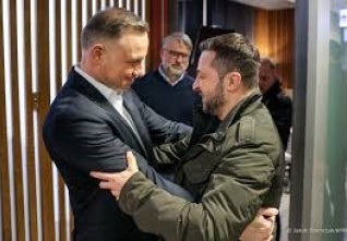 duda zeli.jpeg