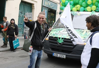 marihuana pochod
