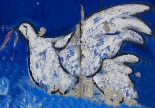 holubice berlin