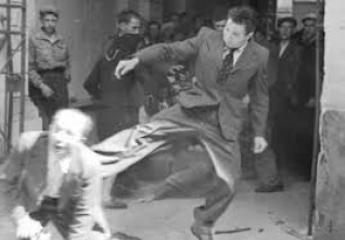 pogrom lvov 41