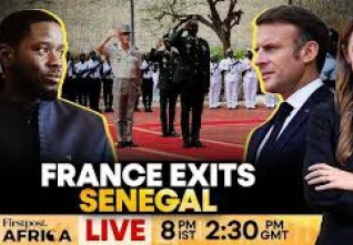 senegal.jpeg