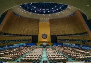 un 2024 ilustrace