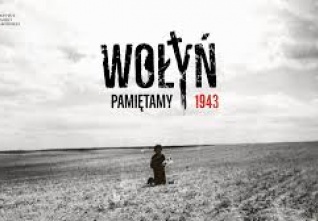 volyn 43