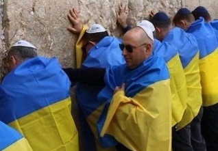 zed narku